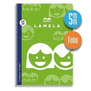 BLOC PAUTAGUIA FOLIO 5MM TAPA NORMAL LAMELA ESPIRAL