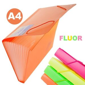 CARPETA CLASIFICADORA PP A4 FLUOR 13 SEPARADORES COLOR SURTIDO