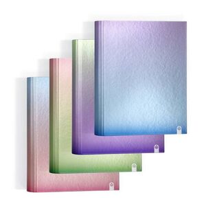 CARPETA CARCHIVO 4 ANILLAS 25 MM METALIZADA GRADIENT AZUL  / CORAL