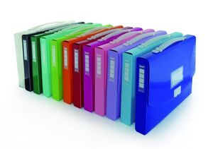 MALETIN PP CON ASA COLOR LINE COLORES SURTIDOS