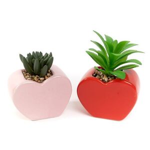 CACTUS EN MACETA FORMA CORAZON SURTIDOS