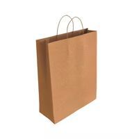 BOLSA CON ASAS KRAFT MARRON 