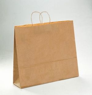 BOLSA KRAFT XL 42+19X48 NATURAL LISO