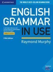 ENGLISH GRAMMAR IN USE WITHOUT ANSWERS 5TH EDITION