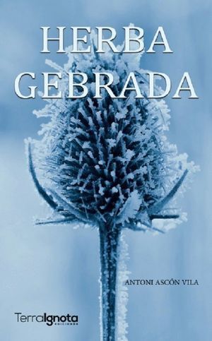 HERBA GEBRADA