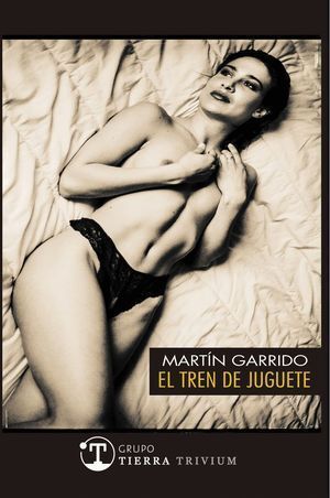 TREN DE JUGUETE,EL