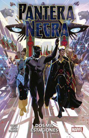 PANTERA NEGRA 3 DOS MIL ESTACIONES