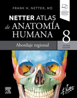 NETTER ATLAS DE ANATOMIA HUMANA ABORDAJE REGIONAL