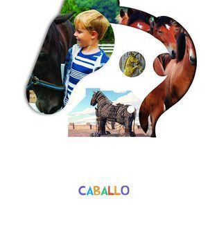 CABALLO 4AÑOS EI 19 LO VES
