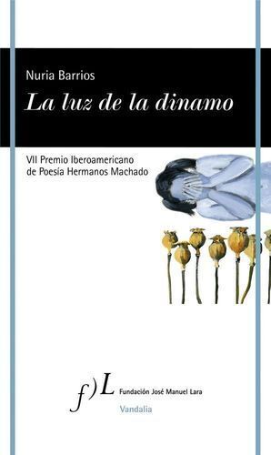 LUZ DE LA DINAMO