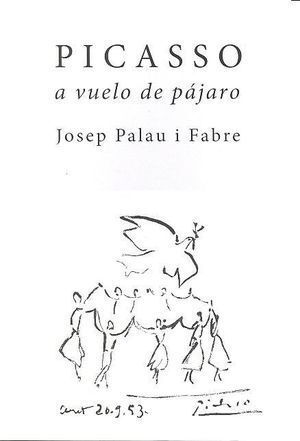 PICASSO A VUELO DE PAJARO