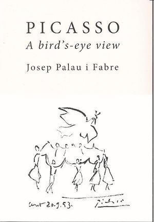 PICASSO A BIRDS EYE VIEW