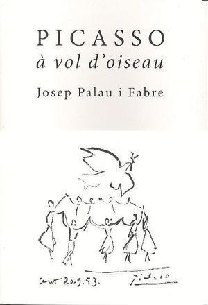 PICASSO A VOL DOISEAU