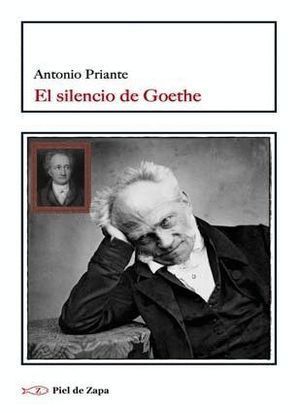 SILENCIO DE GOETHE,EL