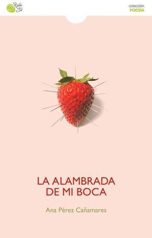 ALAMBRADA EN MI BOCA,LA