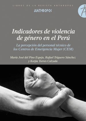 INDICADORES DE VIOLENCIA DE GENERO EN EL PERU