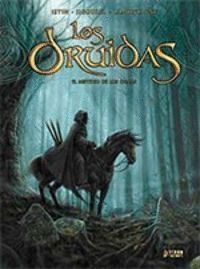 DRUIDAS 1 EL MISTERIO DE LOS OGAMS