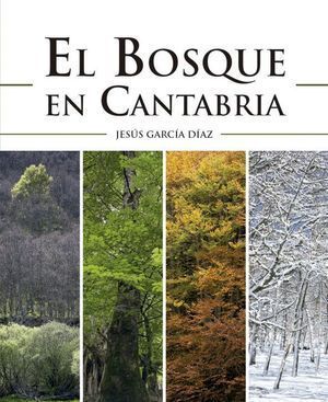 EL BOSQUE EN CANTABRIA
