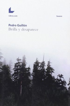 BRILLA Y DESAPARECE - SONORA