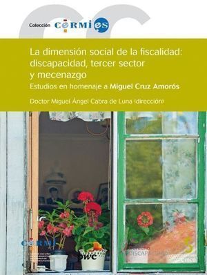 DIMENSION SOCIAL DE LA FISCALIDAD DISCAPACIDAD TERCER SECTO