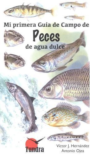 MI PRIMERA GUIA CAMPO DE PECES DE AGUA DULCE