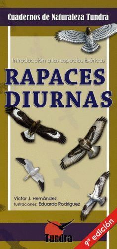 RAPACES NOCTURNAS 10º EDICION