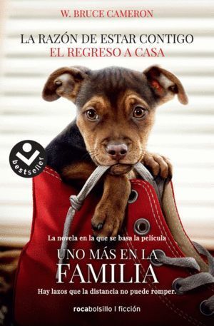 RAZON DE ESTAR CONTIGO. EL REGRESO A CASA. PORTADA PELICULA,