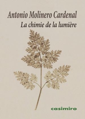 CHIMIE DE LA LUMIERE,LA FRANCES