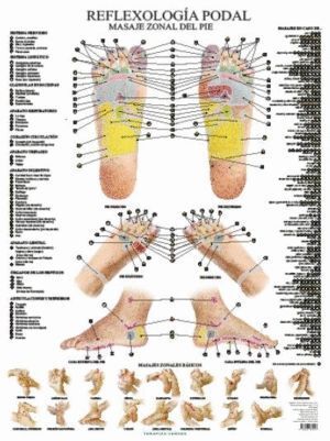 LAMINAS REFLEXOLOGIA PODAL NE