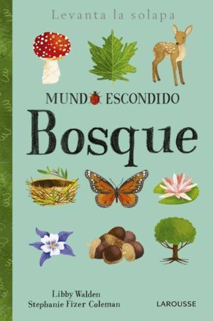 MUNDO ESCONDIDO BOSQUE