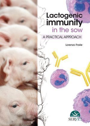 LACTOGENIC IMMUNITY IN THE SOW