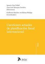 CUESTIONES ACTUALES DE PLANIFICACION FISCAL INTENA