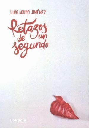 RETAZOS DE UN SEGUNDO