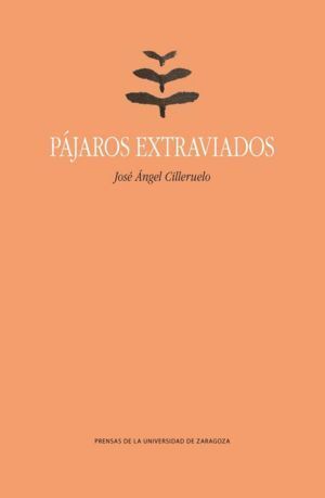 PAJAROS EXTRAVIADOS