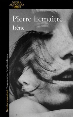 IRENE UN CASO DEL COMANDANTE CAMILLE VERHOEVEN 1