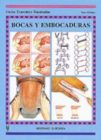 BOCAS Y EMBOCADURAS GEI