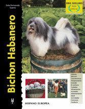 BICHON HABANERO (EXCELLENCE-RAZA ESPECIAL)