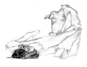 ROSA DE LOS HIELOS,LA ADA