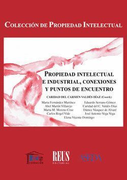 PROPIEDAD INTELECTUAL E INDUSTRIAL, CONEXIONES Y PUNTOS DE E