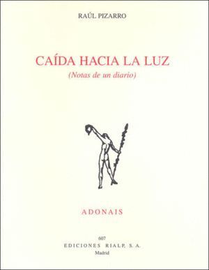 CAIDA HACIA LA LUZ (NOTAS DE UN DIARIO)