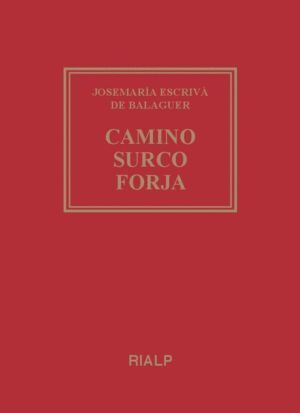 CAMINO SURCO FORJA