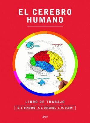 CEREBRO HUMANO LIBRO DE TRABAJO,EL