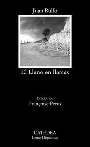 LLANO EN LLAMAS,EL