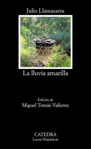 LLUVIA AMARILLA,LA