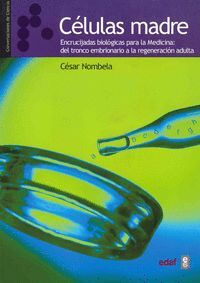 CELULAS MADRES