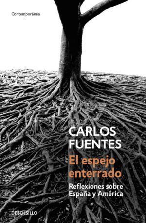 ESPEJO ENTERRADO,EL