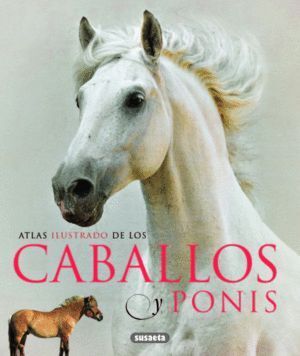 APSTILCAOSSCOACBIAALLLOS