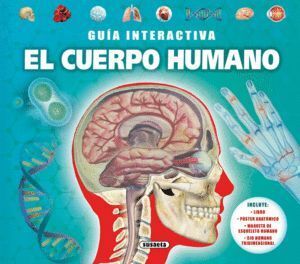 CUERPO HUMANO,EL