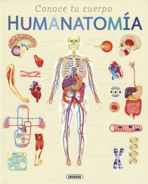 CONOCE TU CUERPO, HUMANATOMIA