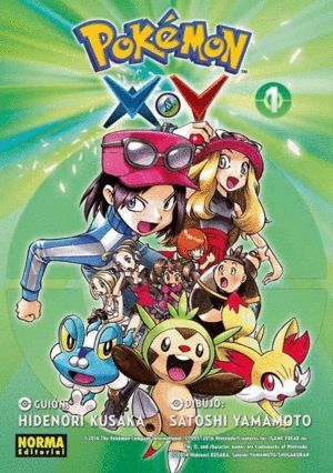 POKEMON X Y 1